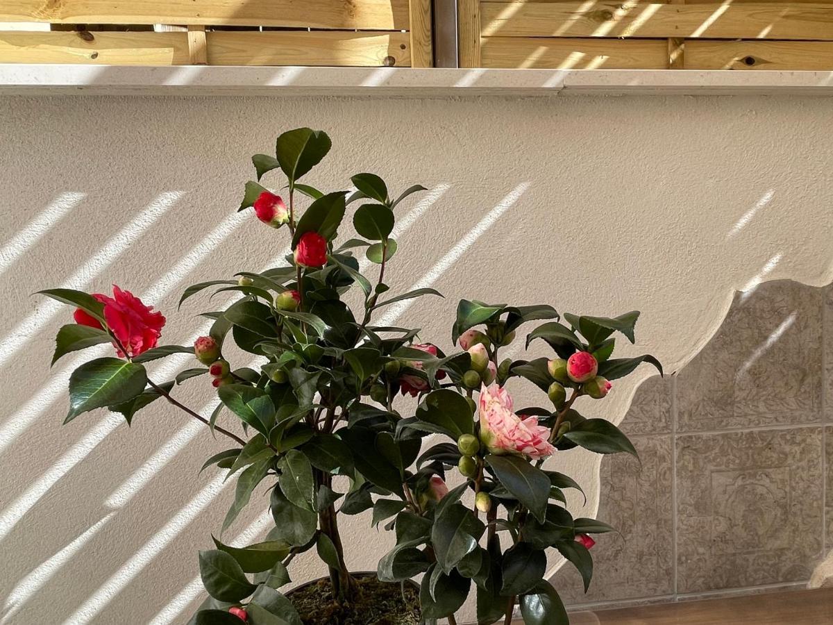 Ateneo Cuenca Suites Con Cocina En El Casco Historico 외부 사진